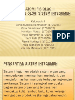 Anfisman Kelp. 4 Sistem Integumen-1