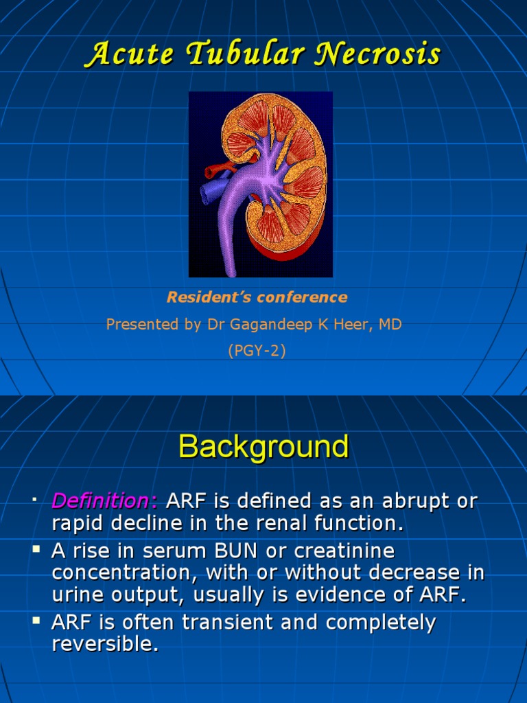 Acute Tubular Necrosis Pdf Dialysis Renal Function 