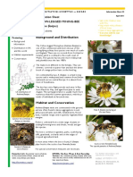Information Sheet Yellow-Legged Mining-Bee (Andrena Flavipes)