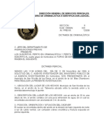 42540035-Dictamen-Pericial-Formato-Irvin.doc