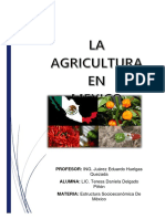 La Agricultura en Mexico