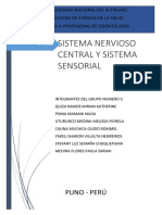 Informe - Sistema - Nervioso Anatoo