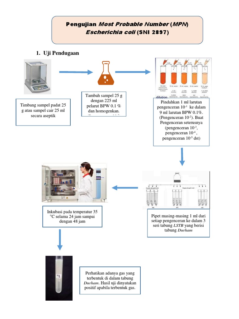 Uji MPN untuk Deteksi E. coli | PDF