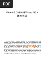 Max-Ng Overview and NGN Services