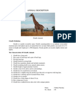 Animal Description: Giraffe Definition