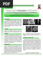 DESENVOLVIMENTO DE SISTEMAS DE DISPERSÕES SÓLIDAS DE BENZNIDAZOL E CARACTERIZAÇÃO POR MICROSCOPIA ELETRÔNICA DE VARREDURA