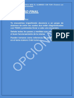 Actividad Opcional Final.pdf