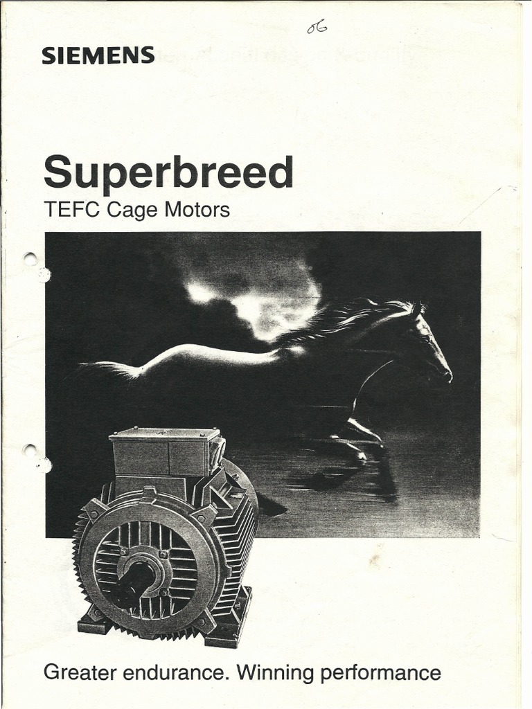 Siemens Make Motor Manual PDF PDF Electric Motor Electrical