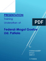 Presentation: Federal-Mogul Goetze Ltd. Patiala