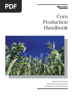 Download Corn Producion Technology by Muhammad Aamir SN43617491 doc pdf
