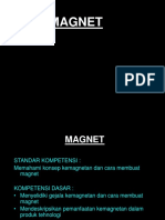 Magnet