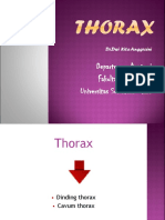 Thorax