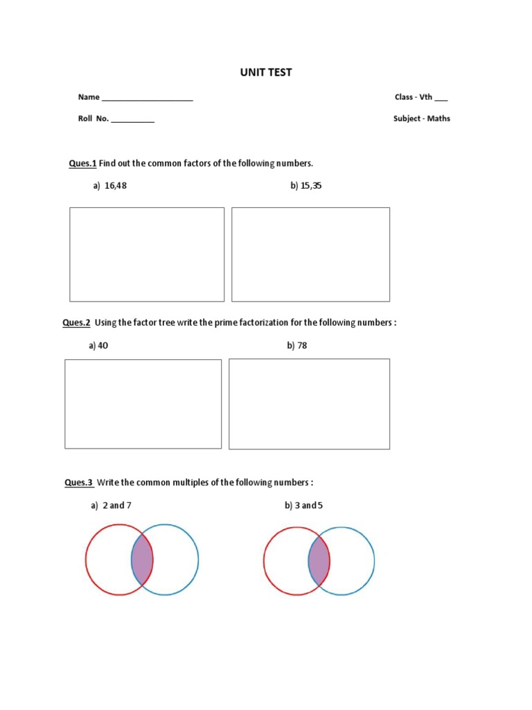 Vth Grade Maths Unit Test Questions | PDF