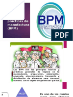 Buenas Prácticas de Manufactura (BPM)