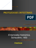 11-11 Protozooses Intestinais