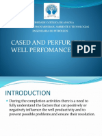 Cased and Perfurated Well Perfomance