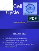 The Cell Cycle: Sri Darmawati