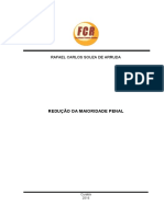 Monografia Finalizada - Redução Da Maioridade Penal - Rafael Carlos PDF