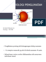 Fisiologi Penglihatan