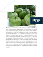 Agrometeorologia Del Tomatillo