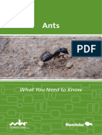 ants.pdf