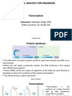 BM101: TRANSCRIPTION - THE PROCESS OF RNA SYNTHESIS