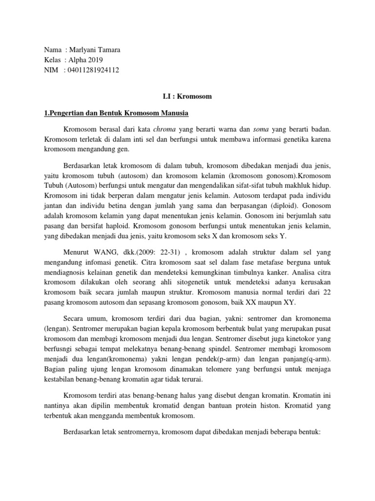 Kromosom Manusia Pdf