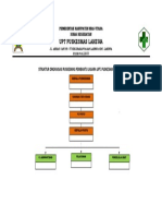Struktur Organisasi Pustu Lasara