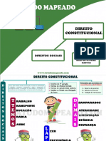 Direitos Sociais PDF