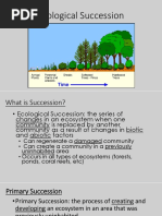 Ecological Succession