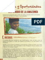 Riesgos y Oportunidades Sinodo de La Amazonía