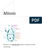 Mitosis - Wikipedia