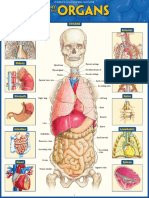 Quick Study Anatomy of The Organs