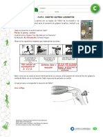 Pauta: Nuestro Sistema Locomotor