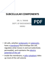 Subcellular Componet