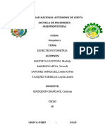 informe 