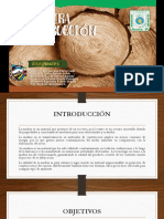 Diapos Madera PDF