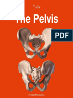 6d The-Pelvis-eBook PDF