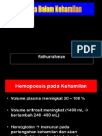 Anemia Kehamilan-1