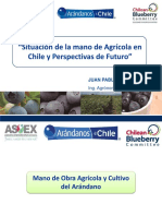 Situación de La Mano Agrícola en Chile y Perspectivas de Futuro