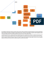 Mapa Conceptual