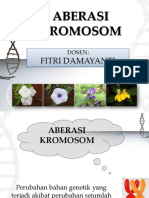 5 - Aberasi Kromosom