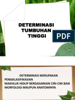 Determinasi Tumbuhan Tingkat Tinggi