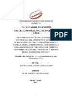 PATOLOGIA_DETERMINACION_DE_PATOLOGIAS_ABAD_SAUCEDO_CLEVER_STEVES.pdf