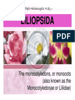 Liliopsida