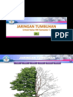 Template PPT jaringan-tumbuhan