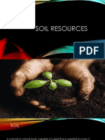 Soil