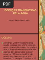 Doenças Transmitidas Pela Água