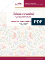 Orientaciones-Entre-Escuelas-CTE.pdf