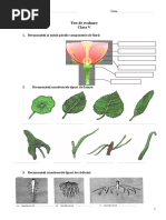 test_evaluare_din_materia_sem_i..doc
